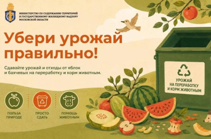 Дайте урожаю второй шанс!
