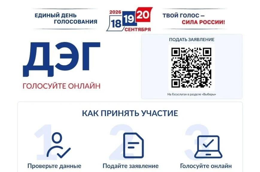 Проверьте систему дистанционного электронного голосования заранее!